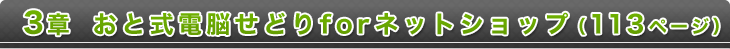 3章 おと式電脳せどりforネットショップ